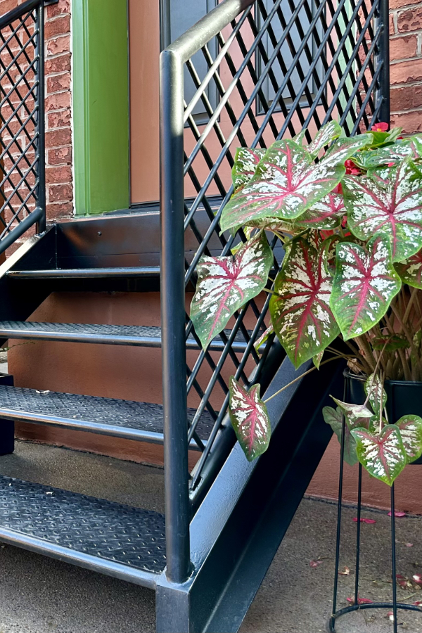 Banisters and Railings